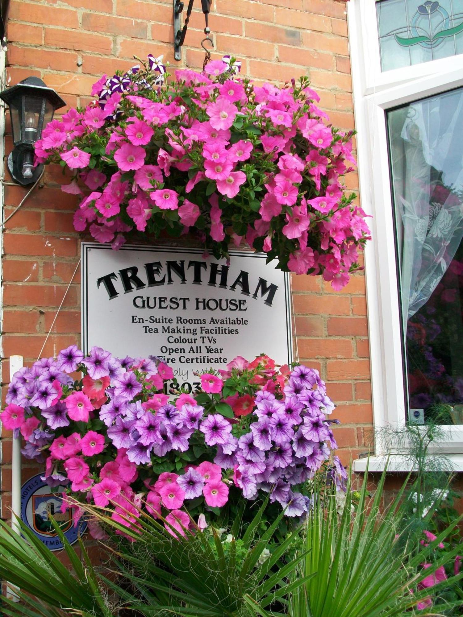 Trentham House Bed & Breakfast Paignton Exterior photo